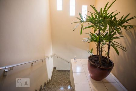 Casa para alugar com 200m², 3 quartos e 2 vagasEscadas