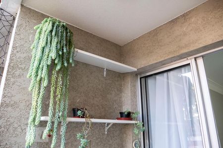 Varanda de apartamento para alugar com 3 quartos, 78m² em São João Climaco, São Paulo