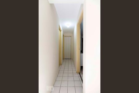 Corredor de apartamento para alugar com 2 quartos, 40m² em Vila Nova Curuçá, São Paulo