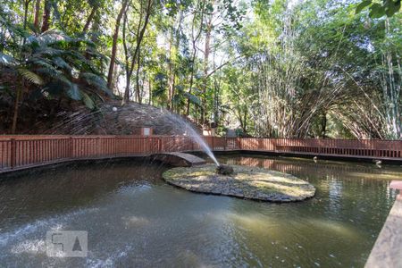 Apartamento para alugar com 50m², 2 quartos e 1 vagaLago