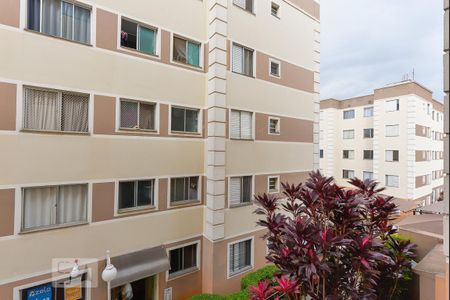 Vista de apartamento para alugar com 2 quartos, 48m² em Jardim Nova Europa, Campinas