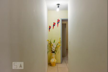 Corredor de apartamento para alugar com 2 quartos, 48m² em Jardim Nova Europa, Campinas