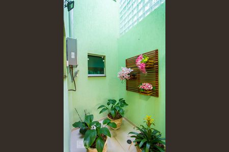 Jardim de inverno de casa de condomínio à venda com 3 quartos, 250m² em Vila Dora, Santo André
