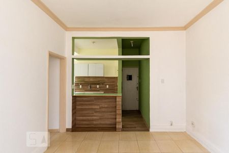 Sala de apartamento para alugar com 2 quartos, 50m² em Tijuca, Rio de Janeiro