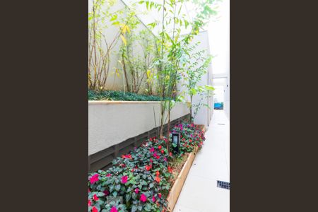 Apartamento para alugar com 38m², 1 quarto e sem vagaÁrea Externa