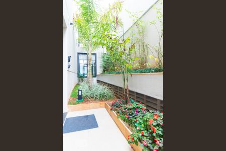 Apartamento para alugar com 38m², 1 quarto e sem vagaÁrea Externa