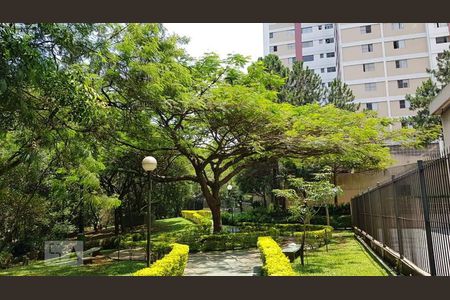 Apartamento para alugar com 73m², 3 quartos e 1 vagaÁrea Comum