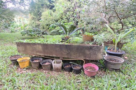 Apartamento à venda com 60m², 2 quartos e 2 vagasÁrea comum