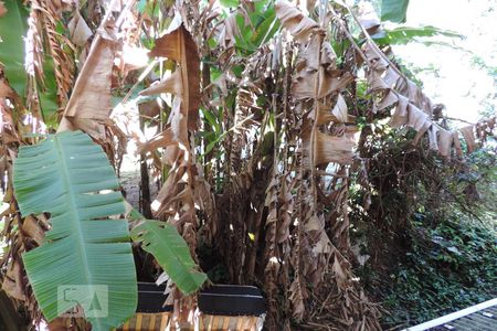 Quarto 1 - Vista de apartamento para alugar com 1 quarto, 40m² em Pantanal, Florianópolis