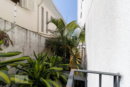 Vista da Sala de apartamento para alugar com 2 quartos, 56m² em Vila Paulista, São Paulo