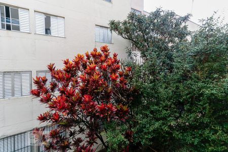 Apartamento para alugar com 62m², 3 quartos e 1 vaga Apartamento para alugar com 62m², 3 quartos e 1 vagaQuarto 2