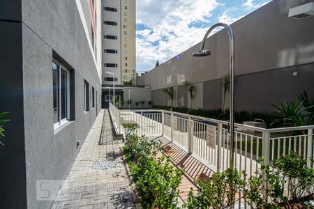 Studio para alugar com 20m², 1 quarto e sem vagaÁrea comum