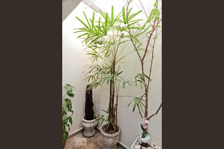 Casa à venda com 340m², 3 quartos e 4 vagasVaranda