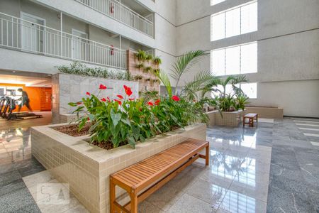 Studio para alugar com 27m², 1 quarto e sem vaga Studio para alugar com 27m², 1 quarto e sem vagaÁrea comum - Jardim interno