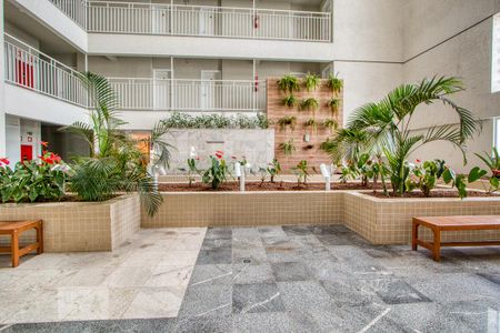 Studio para alugar com 27m², 1 quarto e sem vaga Studio para alugar com 27m², 1 quarto e sem vagaÁrea comum - Jardim interno