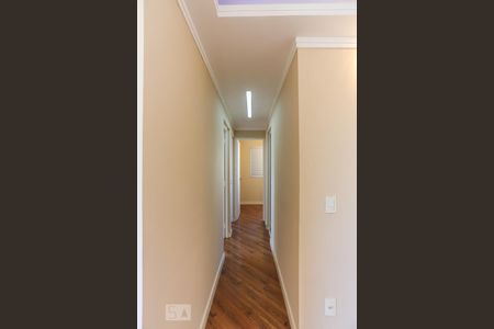 Corredor de apartamento para alugar com 3 quartos, 60m² em Jardim das Vertentes, São Paulo