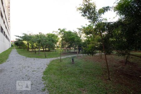 Apartamento à venda com 49m², 2 quartos e 1 vagaBosque