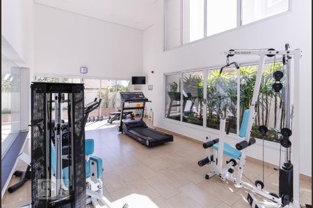 Academia de apartamento para alugar com 3 quartos, 131m² em Vila Ipojuca, São Paulo
