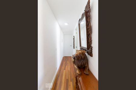 Corredor de apartamento para alugar com 2 quartos, 40m² em Jardim Sao Saverio, São Paulo