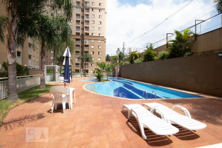 Área comum - Piscina de apartamento à venda com 2 quartos, 68m² em Santo Antônio, Osasco