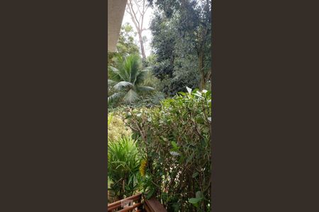 Apartamento à venda com 88m², 4 quartos e 1 vaga Apartamento à venda com 88m², 4 quartos e 1 vagaBosque
