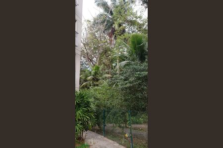 Apartamento à venda com 88m², 4 quartos e 1 vaga Apartamento à venda com 88m², 4 quartos e 1 vagaBosque