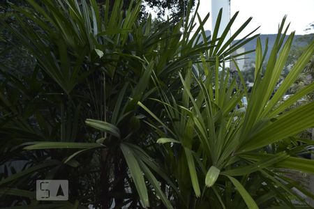 Apartamento à venda com 88m², 4 quartos e 1 vagaVista da Suíte