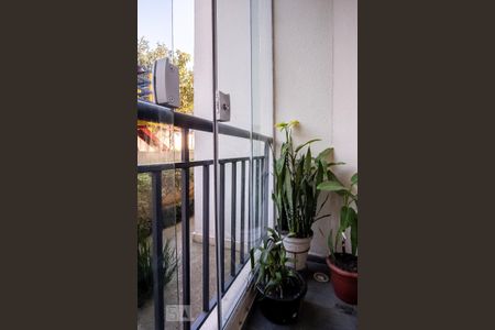 Varanda da Sala de apartamento à venda com 2 quartos, 57m² em Vila Antonieta, São Paulo