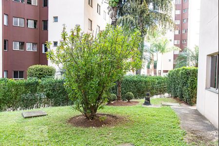 Vista da sala de apartamento à venda com 2 quartos, 53m² em Vila Vermelha, São Paulo
