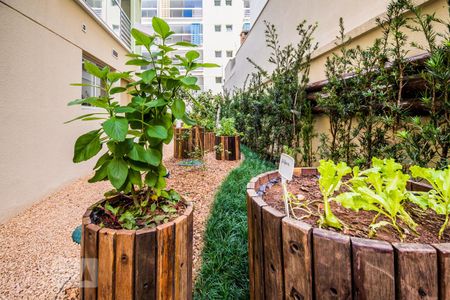 Área comum de apartamento para alugar com 1 quarto, 46m² em Conceicao, Campinas