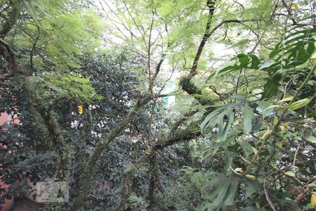 Apartamento para alugar com 88m², 2 quartos e sem vagaVista