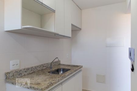 Cozinha de apartamento para alugar com 1 quarto, 35m² em Distrito de Bonfim Paulista, Ribeirão Preto