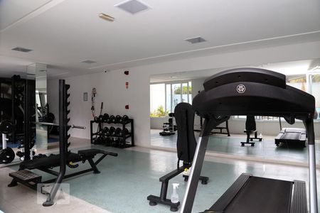 Apartamento para alugar com 77m², 2 quartos e 2 vagasÁrea comum - Academia