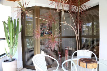 Varanda da Sala de apartamento à venda com 3 quartos, 128m² em Paineiras do Morumbi, São Paulo
