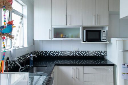 Apartamento à venda com 51m², 2 quartos e 1 vagaCOZINHA