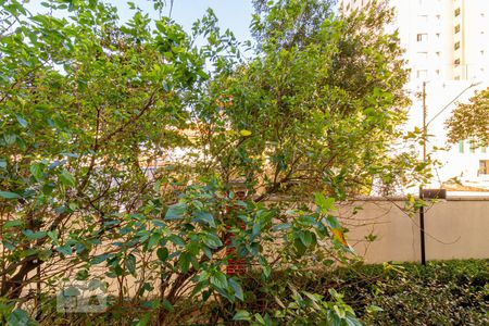 Apartamento para alugar com 45m², 2 quartos e 1 vagaVista do Quarto 2