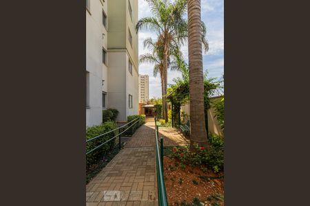 Apartamento para alugar com 45m², 2 quartos e 1 vagaÁrea Comum