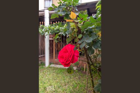 Apartamento à venda com 46m², 1 quarto e sem vagaÁrea comum