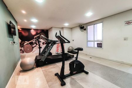 Apartamento para alugar com 66m², 2 quartos e 1 vaga Apartamento para alugar com 66m², 2 quartos e 1 vagaÁrea comum - Academia