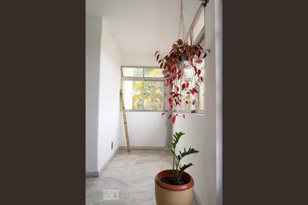 Sala de casa para alugar com 6 quartos, 392m² em Tremembé, São Paulo