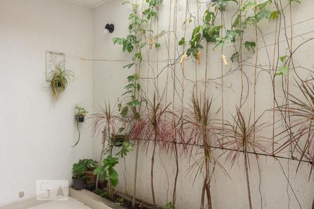 Casa para alugar com 140m², 2 quartos e 1 vagaQuintal de trás