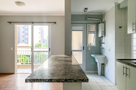 Sala de apartamento para alugar com 2 quartos, 62m² em Mansões Santo Antônio, Campinas