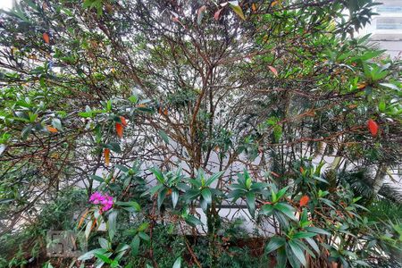 Apartamento à venda com 228m², 4 quartos e 3 vagasVista