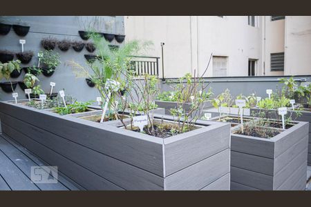 Studio para alugar com 32m², 1 quarto e 1 vagaHorta