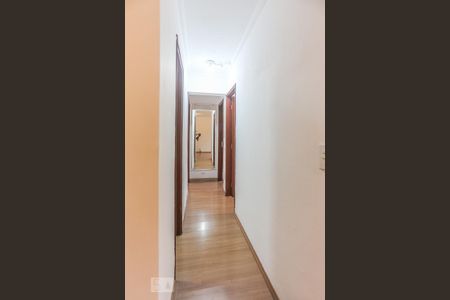 Corredor de apartamento para alugar com 3 quartos, 65m² em Vila Butantã, São Paulo