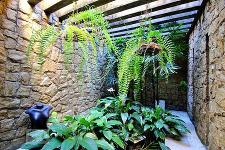 Jardim de casa à venda com 4 quartos, 320m² em Vila Humaita, Santo André