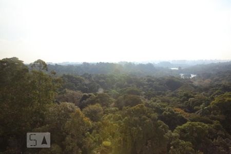 Vista Quarto 1 de apartamento para alugar com 2 quartos, 53m² em Vila Moraes, São Paulo