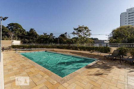 Área comum - Piscina de apartamento para alugar com 2 quartos, 53m² em Vila Moraes, São Paulo