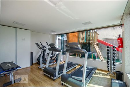 Apartamento para alugar com 220m², 4 quartos e 6 vagas Apartamento para alugar com 220m², 4 quartos e 6 vagasÁrea comum - Academia