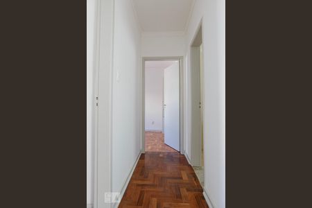 Corredor de apartamento para alugar com 2 quartos, 86m² em Pinheiros, São Paulo